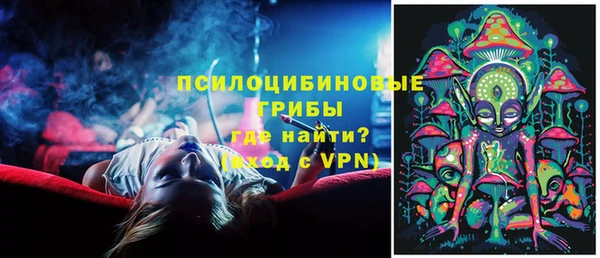 ПСИЛОЦИБИНОВЫЕ ГРИБЫ Балахна