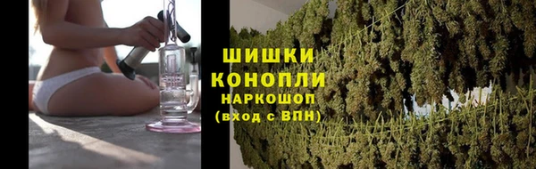 амф Богородск