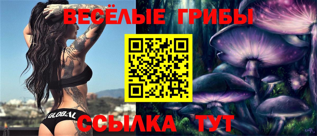 Псилоцибиновые грибы мухоморы Гай