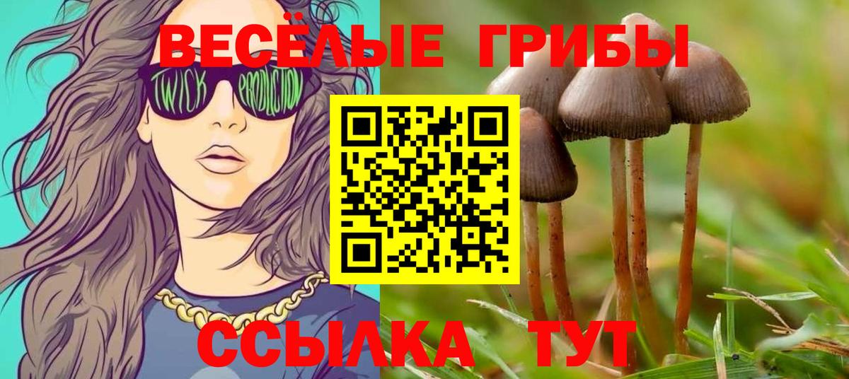 закладки  Вход с VPN  Галлюциногенные грибы мицелий  Гай  Галлюциногенные грибы Magic Shrooms 